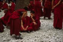 F_Lhasa_Sera_02.jpg