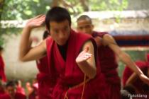 F_Lhasa_Sera_03.jpg