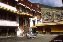 F_Lhasa_Sera_04.jpg