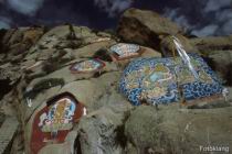 F_Lhasa_Sera_06.jpg