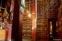 F_Lhasa_Sera_08.jpg