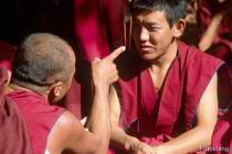 F_Lhasa_Sera_15.jpg