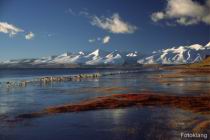 Q_Lake_Manasorovar_09.jpg